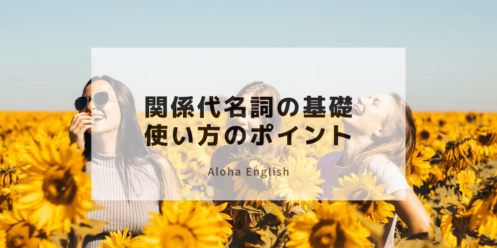 関係代名詞の用途と使い分け解説 関係副詞との違いも分かりやすく説明