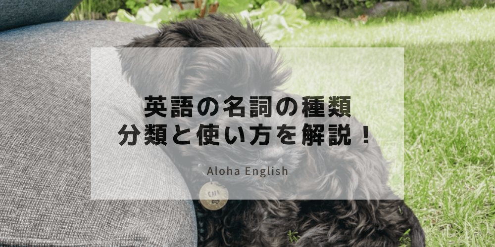 英語の名詞の種類 正しい用法や意味を解説 中学英語から復習 英語の名詞の種類 正しい用法や意味を解説 中学英語から復習